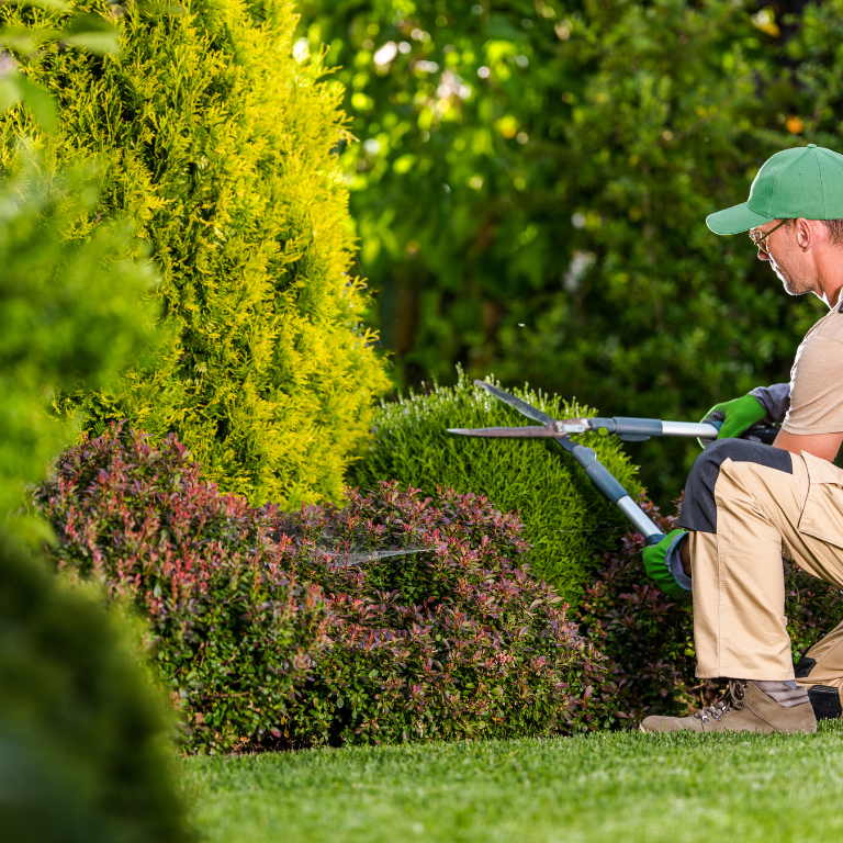 Zdjęcia na stronę Est-France (Witryna internetowa)